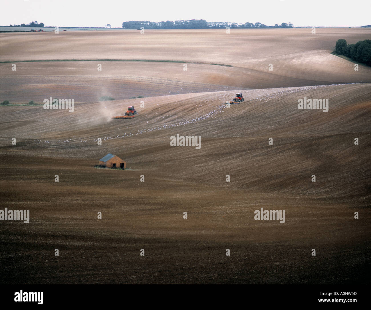 Winter ploughing on 180 acre field in the heart of the Lincolnshire Wolds united kingdom Stock Photo