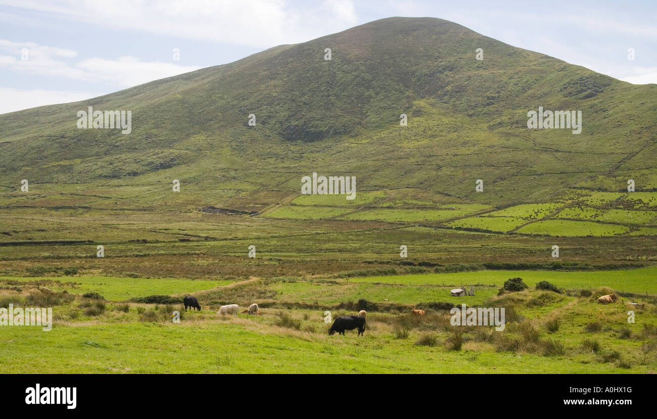 Typical rural fields landscape hi-res stock photography and images - Alamy