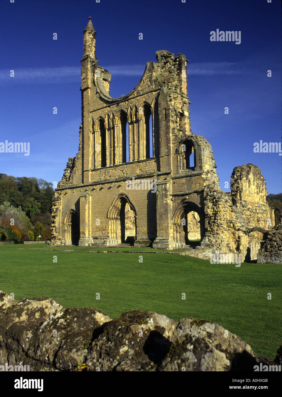 Ruins of Byland Abbey near the village of Coxwold North Yorkshire England UK Stock Photo