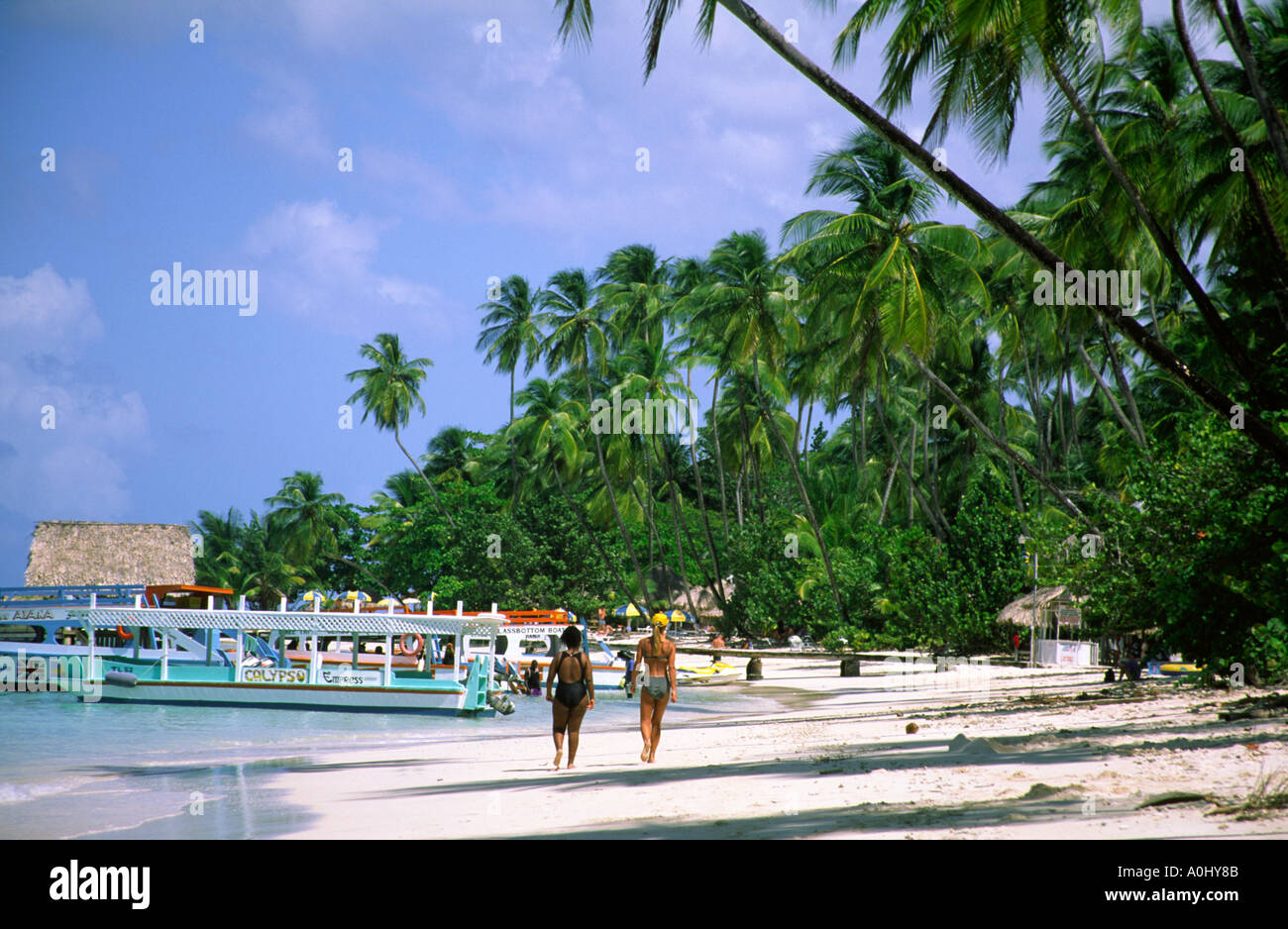 Tobago Pigeon Point caribbean sea beach palm trees Stock Photo