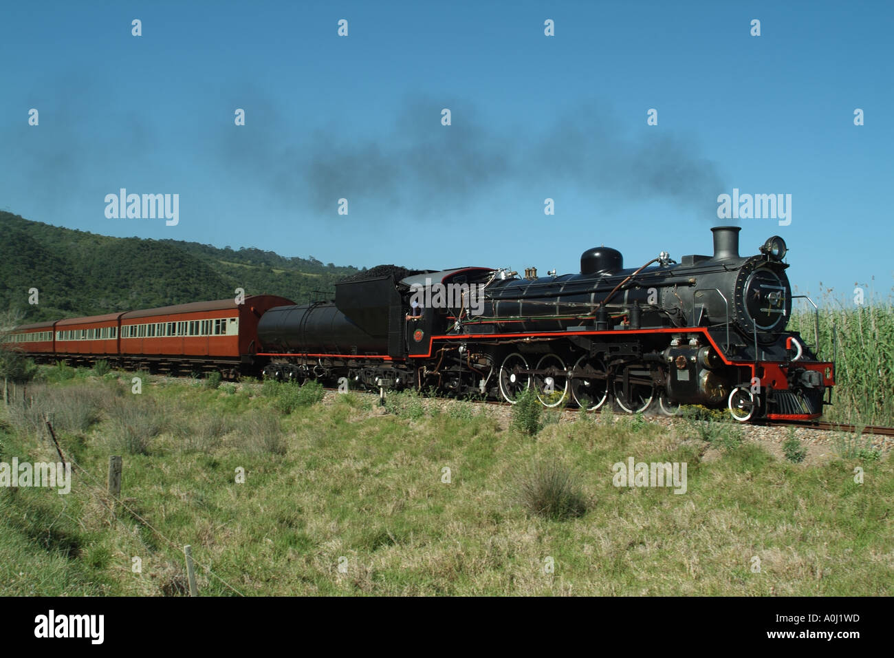 The Outeniqua Choo Tjoe Steam Train Approaching The Town Of Wilderness the-outeniqua-choo-tjoe-steam-train-approaching-the-town-of-wilderness