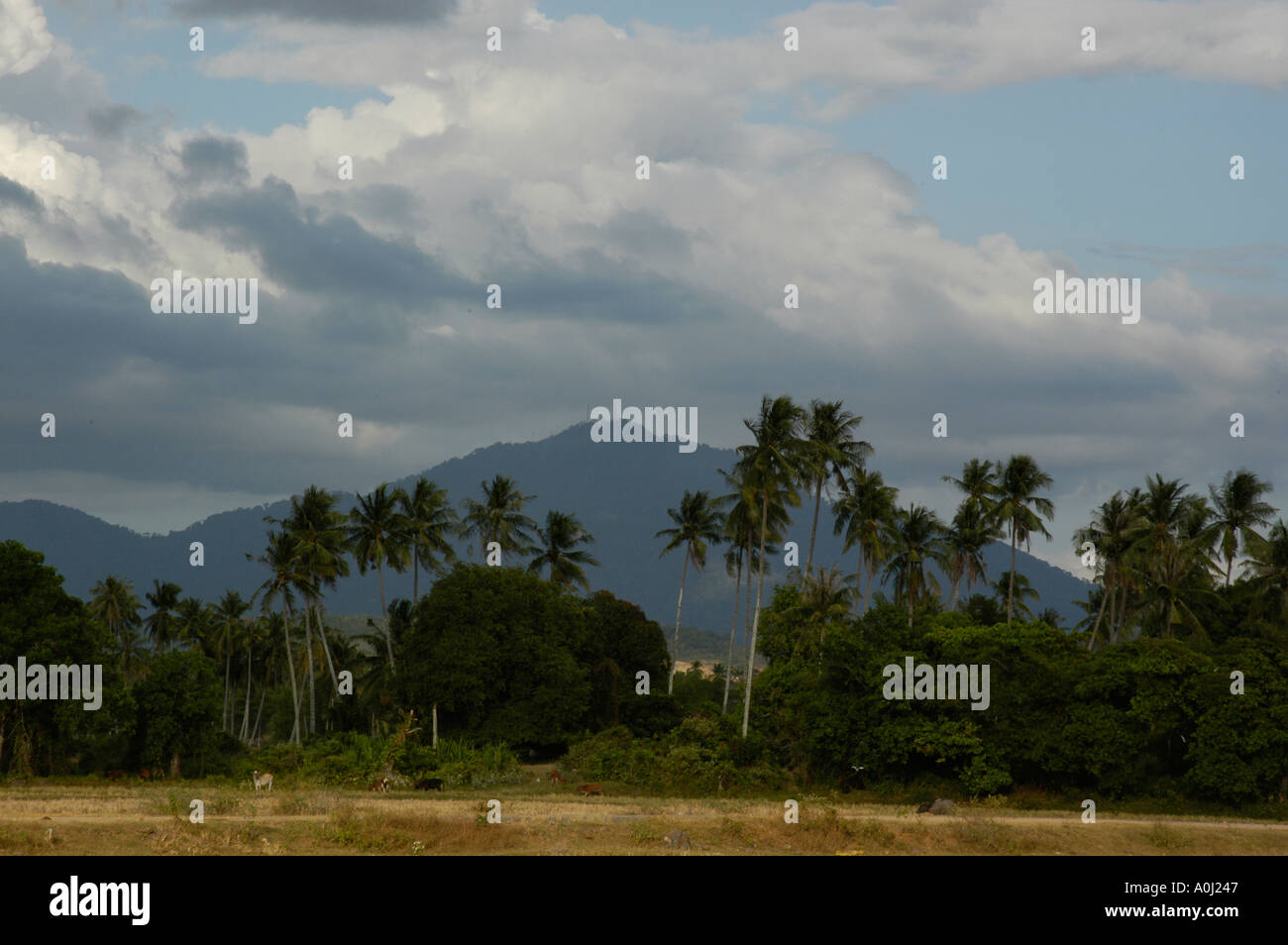 Mount raya hi-res stock photography and images - Alamy