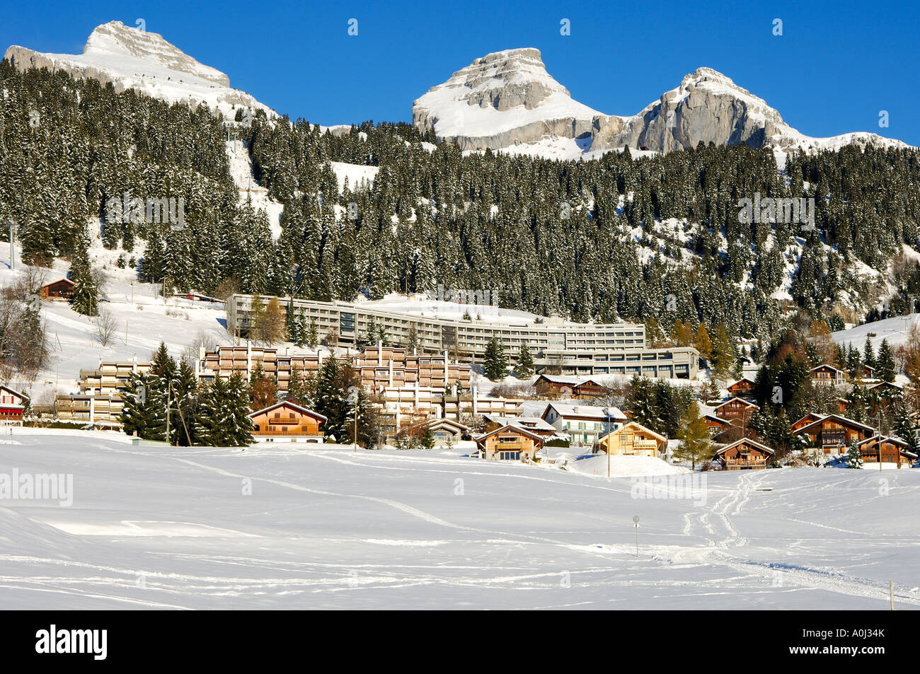 Snow resort Leysin, peaks Tour d'Ai and Tour de Mayen, Vaud, Switzerland Stock Photo