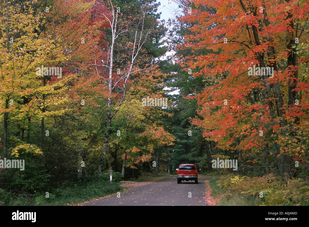 Rear Example Rear of vehicle hi-res stock photography and images - Alamy