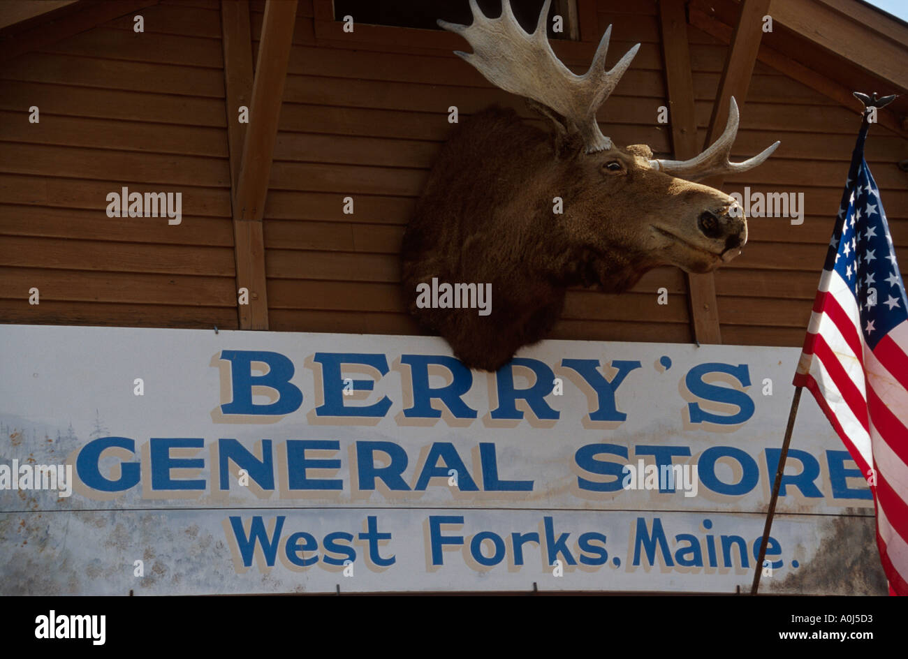 Maine,ME,New England,Down East,West Forks Berry's General Store sign,information,advertise,market,notice,reading,learn,trophy moose US flag ME102,ME10 Stock Photo