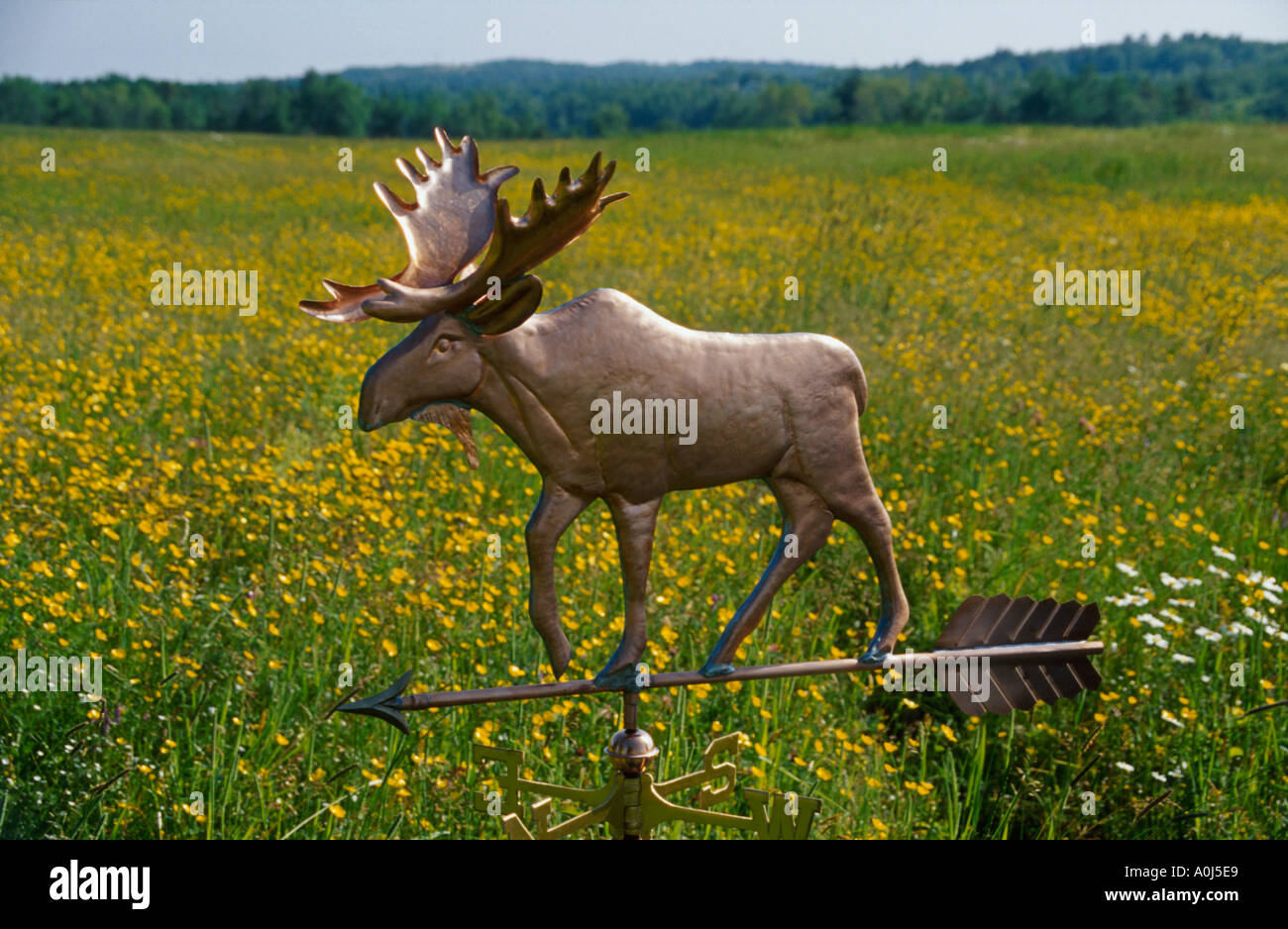 Weathervanes hires stock photography and images Alamy