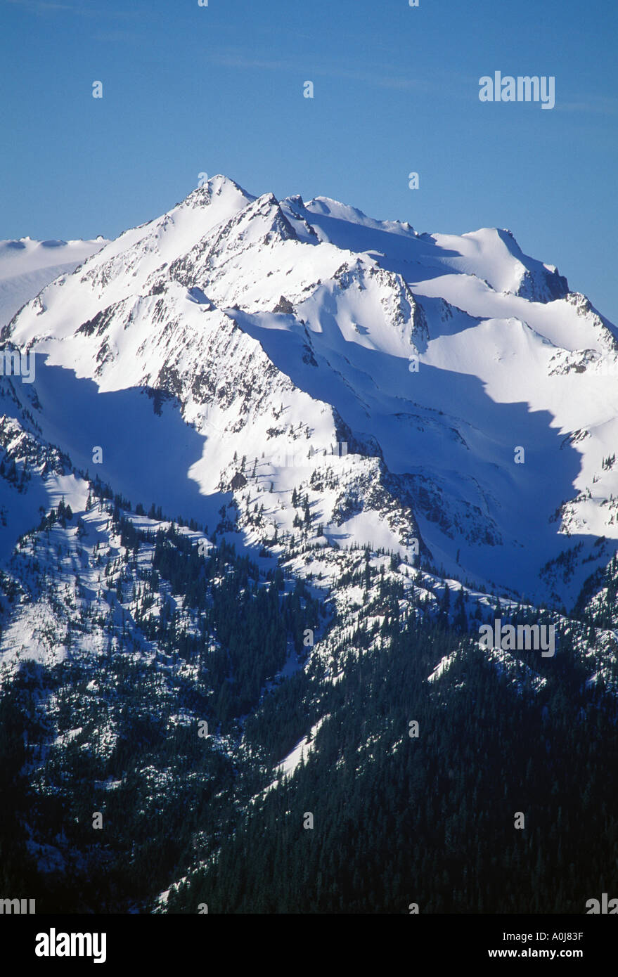 Snow capped Olympic Mountains viewed from Hurricane Ridge Visitor ...