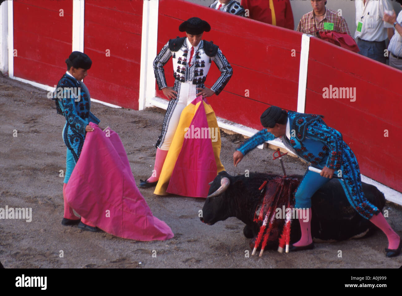 Mexico,Mexican,Central America,Pan,North Hispanic Mestizo,Aguascalientes,Plaza de Toros Monumental,features young nobillero novices,bullfighting,Mex05 Stock Photo