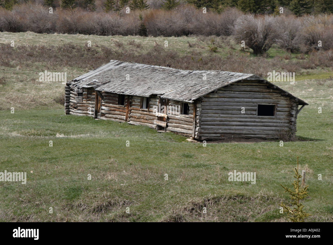 Cypress Hills Provincial Park Stock Photo Alamy