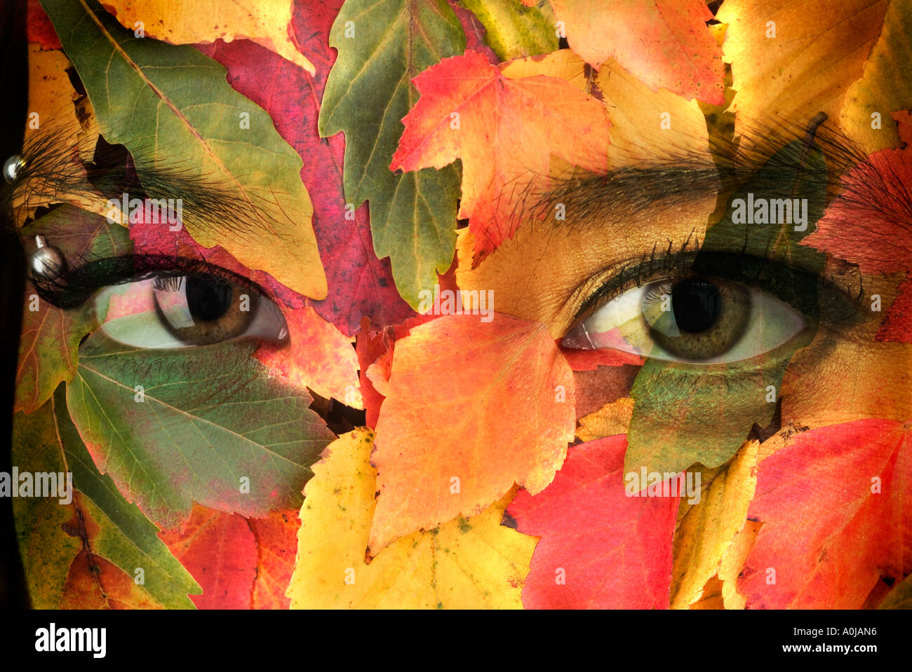 Close-up Of Body Painted Woman by Tomfullum