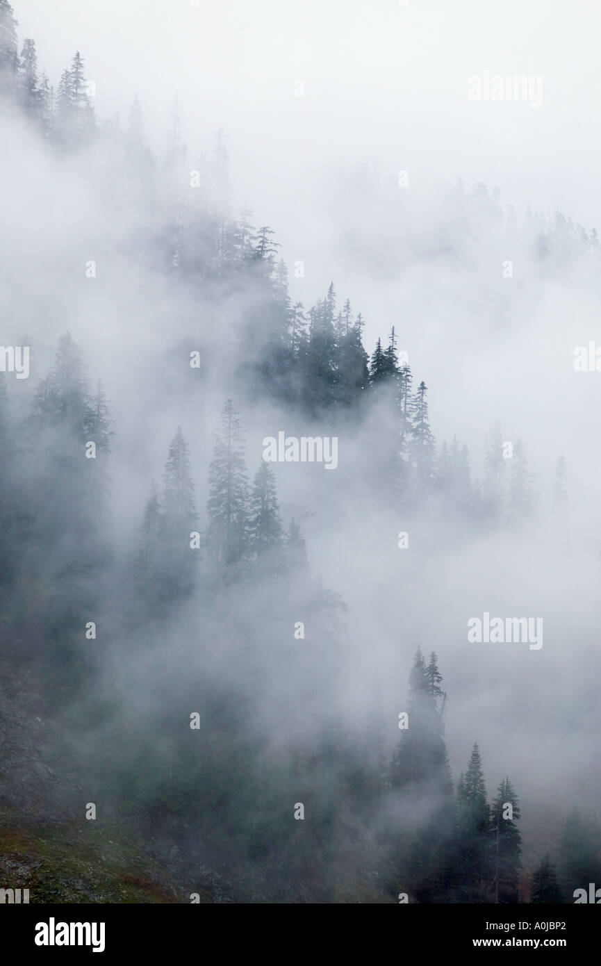 Misty mountain landscape Stock Photo - Alamy