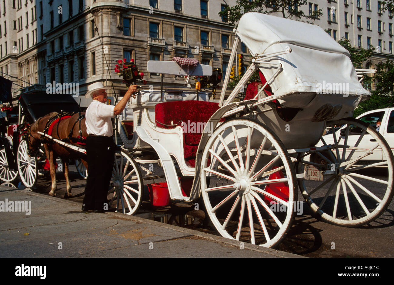 New York,State,New York,City,Manhattan,urban,metropolis,5th Avenue Park,public land,recreation,Place South,horse horses,equine,animal,animal,domestica Stock Photo