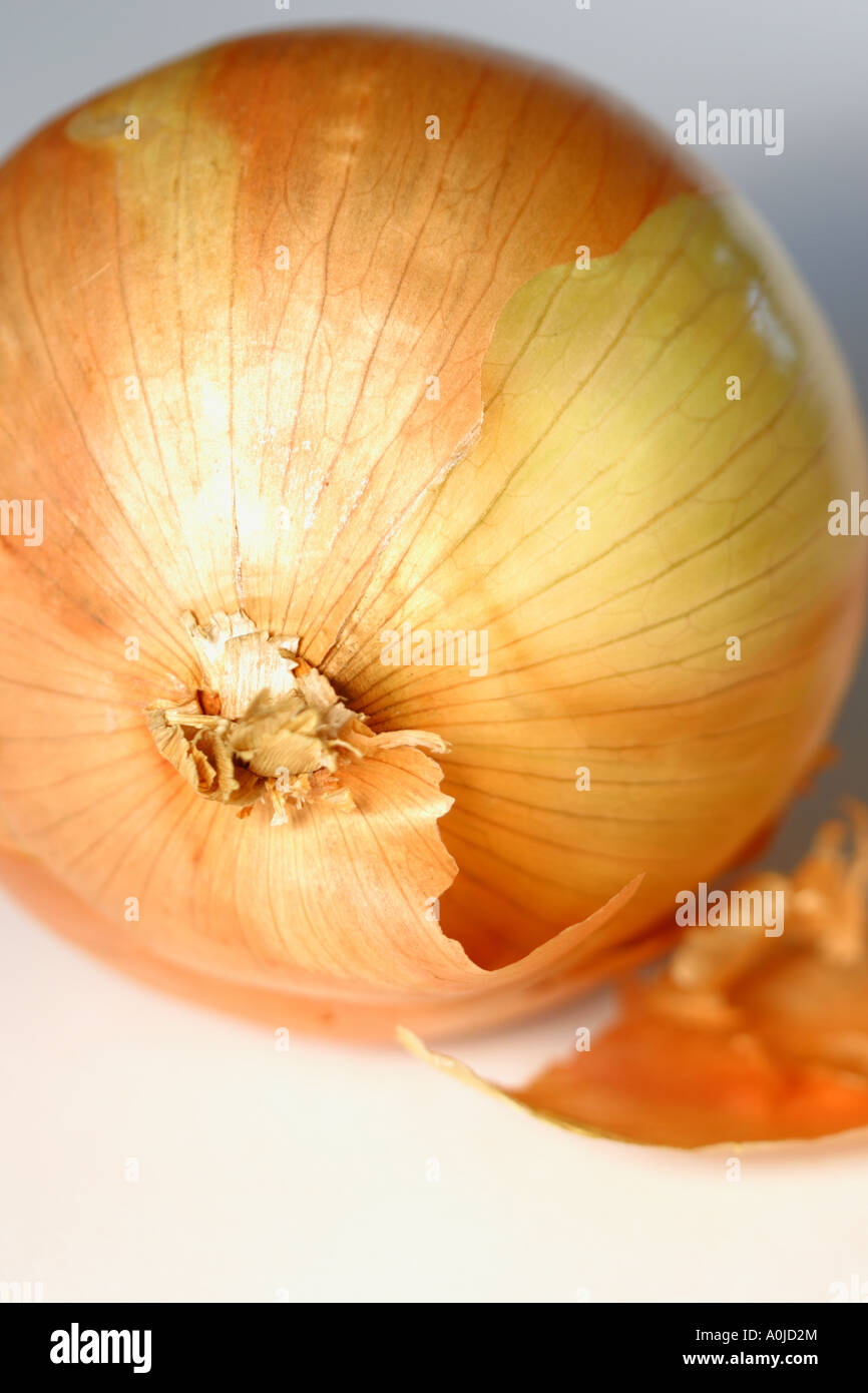 Fresh onion showing peeling outer layers Stock Photo Alamy