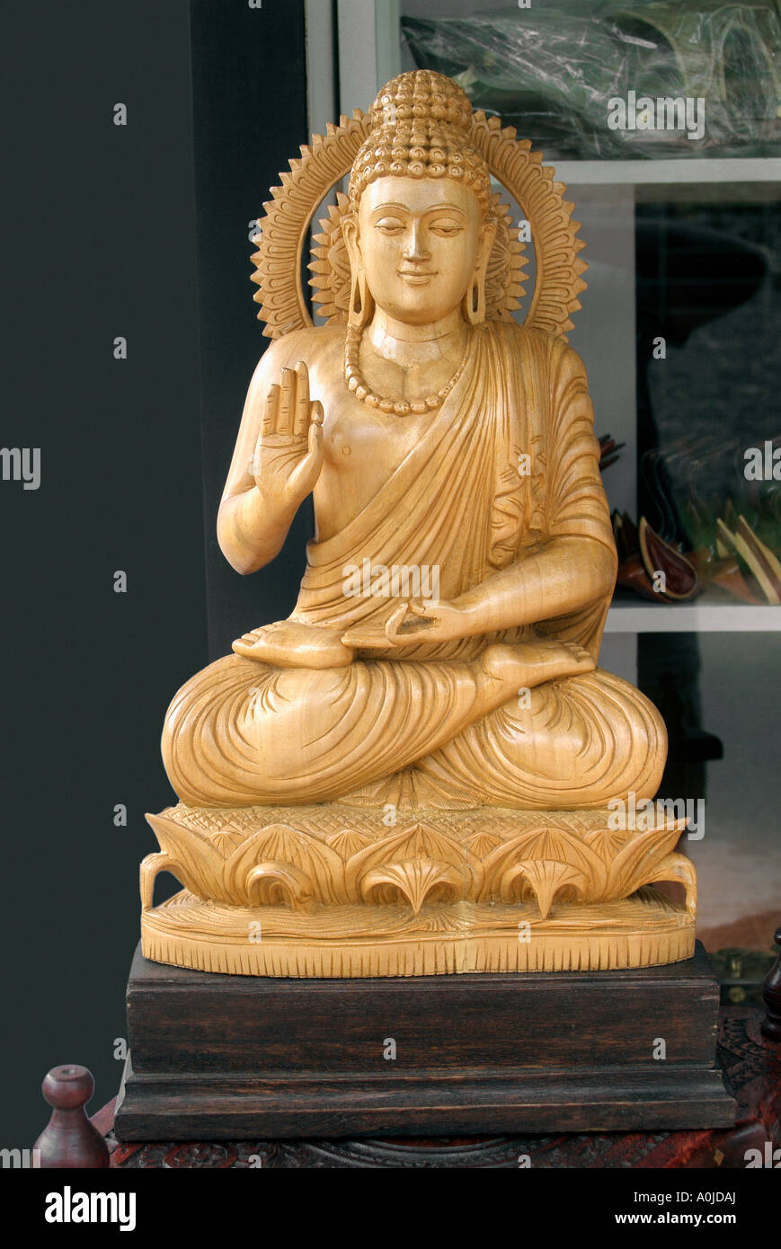 Bhagwan Buddha, Nature Background HD phone wallpaper | Pxfuel
