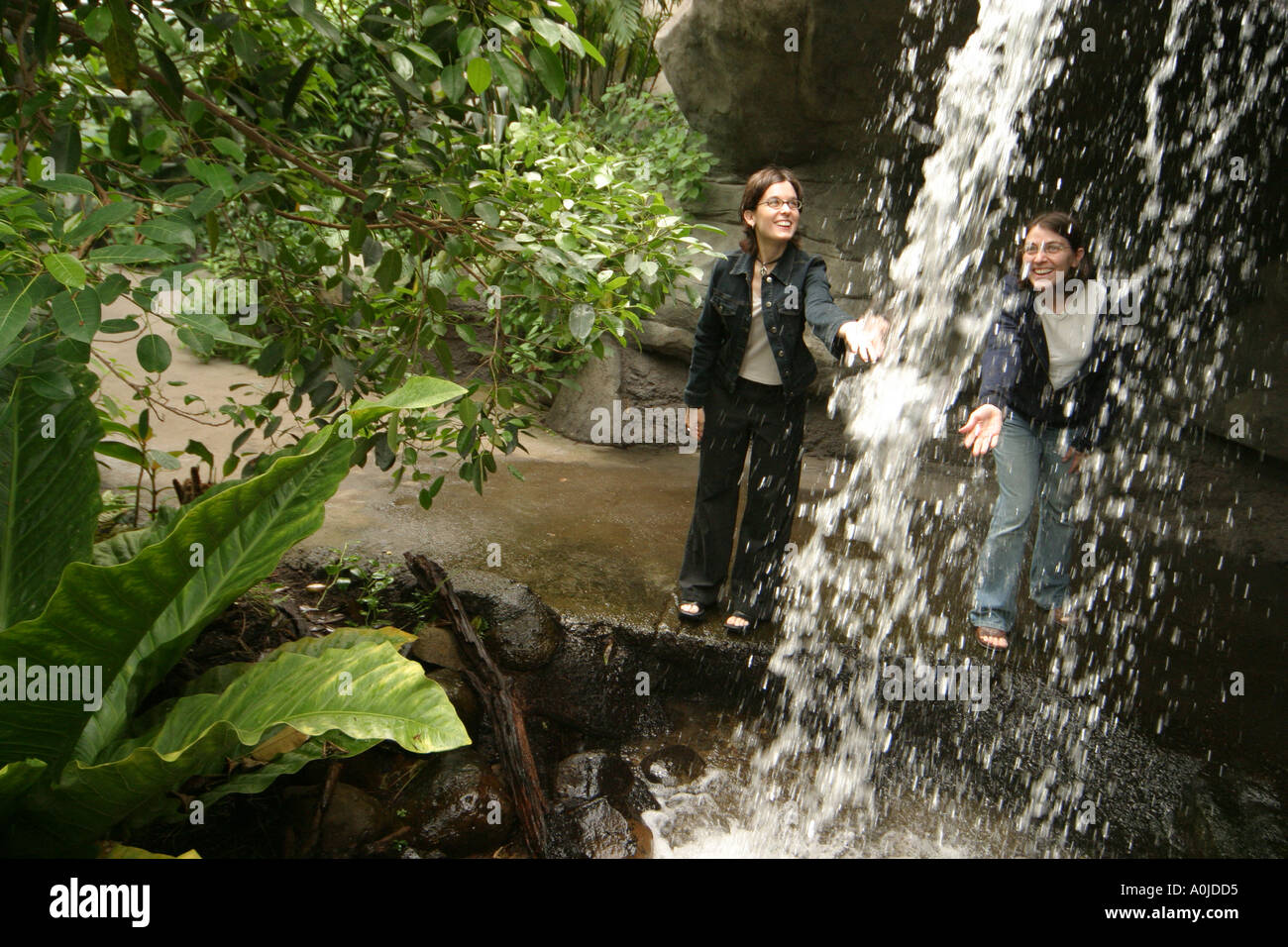 Cleveland Ohio,University Circle,Cleveland Botanical Garden,plants