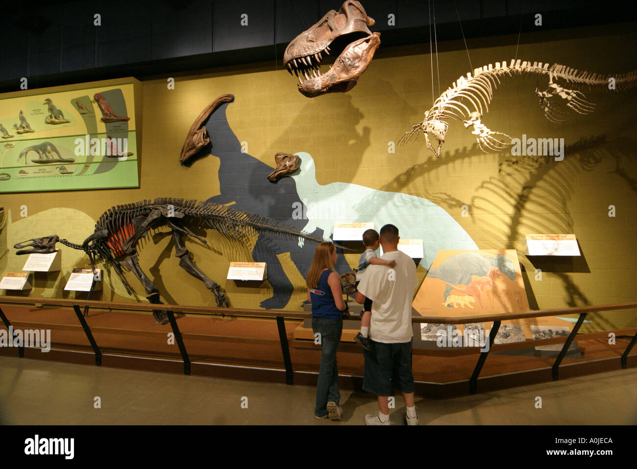 Cleveland Ohio,University Circle,Museum,history,exhibit exhibition