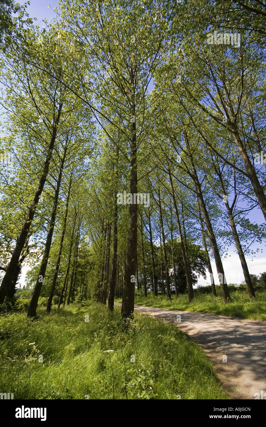 view from footpath through estate grounds of umberslade hall