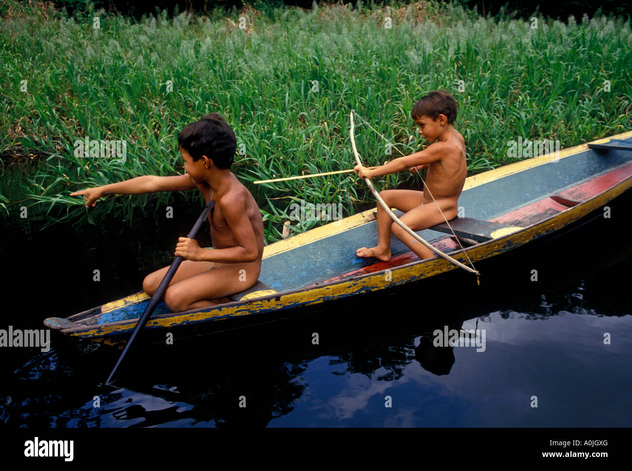 2, two, Brazilian boys fishing, fishing with bow and arrow, dugout canoe,  Obim Lake, Amazon River Basin, Amazonas State, Brazil, South America Stock  Photo - Alamy