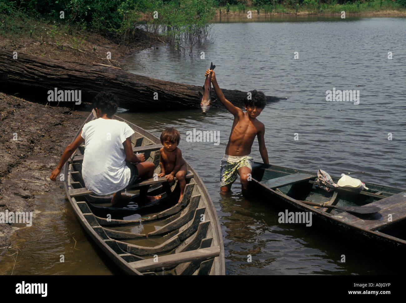 Brazilian People Mother And Sons Fishing Obim Lake Amazon River Basin Northwest Of City Of Manaus Amazonas State Brazil Stock Photo Alamy Brazilian People Mother And Sons Fishing Obim Lake Amazon River Basin Northwest Of City Of Manaus Amazonas State Brazil Stock Photo Alamy