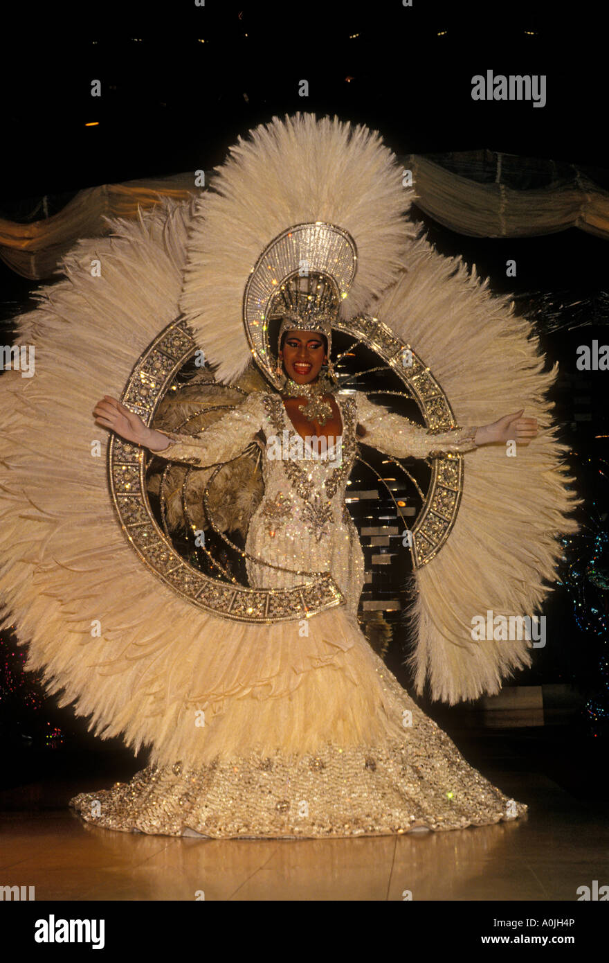 Brazilian woman, Brazilian, woman, dancer, carnival costume, nightclub performance, Rio de Janeiro, Rio de Janeiro State, Brazil, South America Stock Photo
