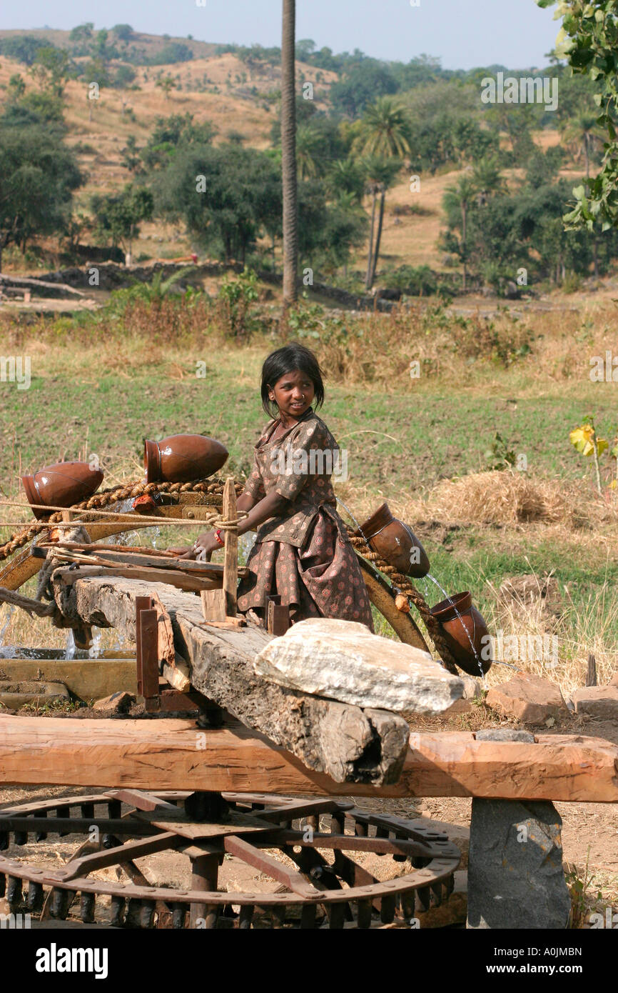 Rajasthani girl working at a Persian water wheel between Ranakpur and Udaipur, Rajasthan, India Stock Photo