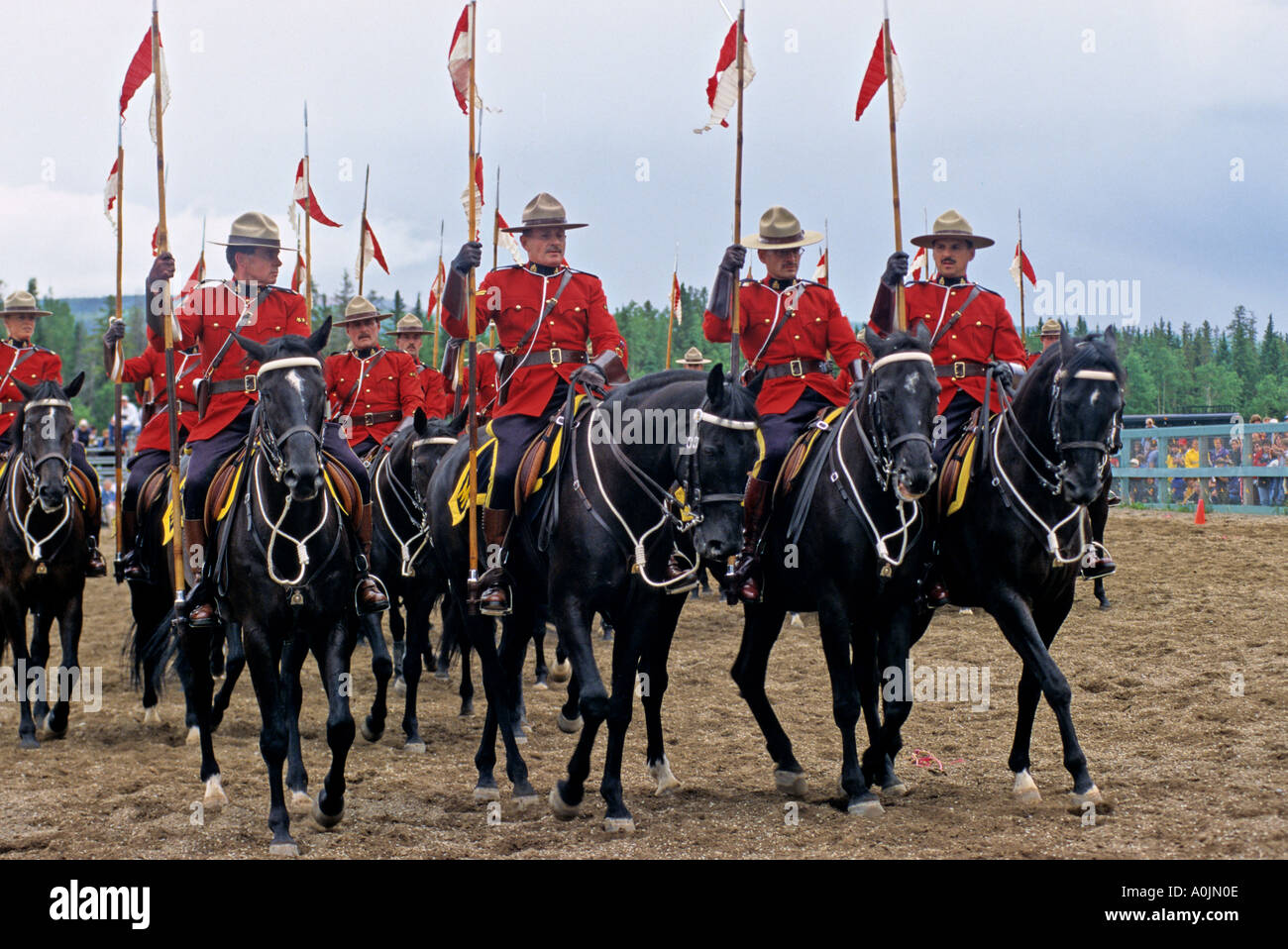 Royal canadian mounted police horse in musical ride hi-res stock ...