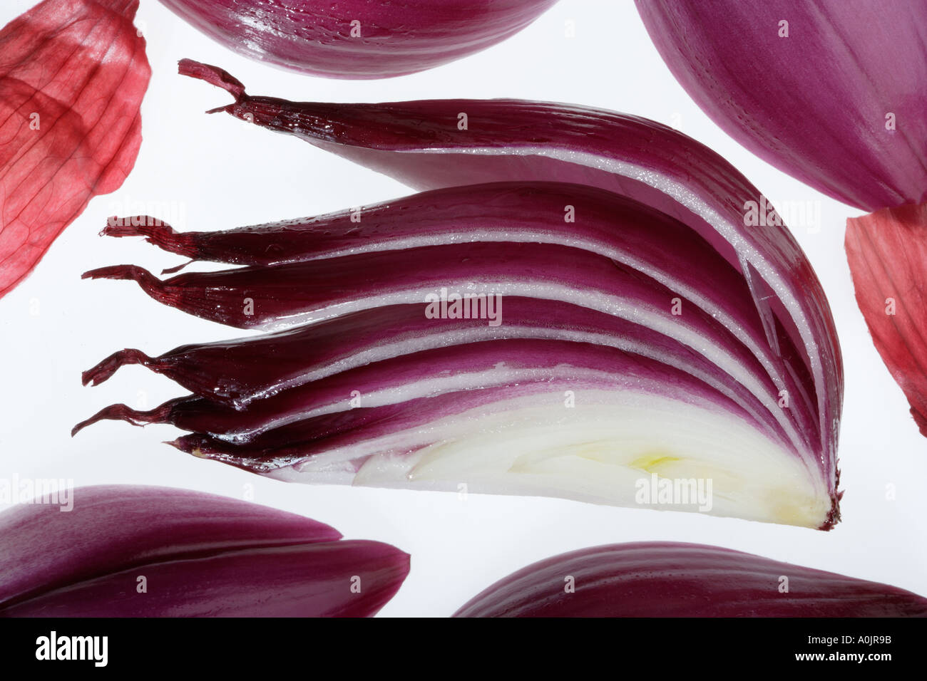 Onion Layers High Resolution Stock Photography and Images - Alamy