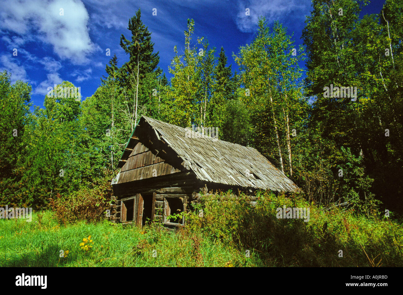 Old Cabin in the woods 2 Stock Photo