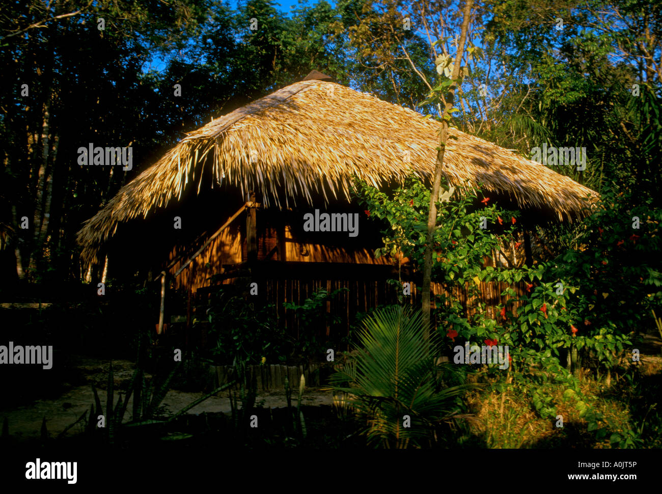 thatched roof bungalow, Amazon Village Jungle Lodge, eco-lodge, eco-hotel, eco-resort, northeast of Manaus, Amazonas State, Brazil, South America Stock Photo