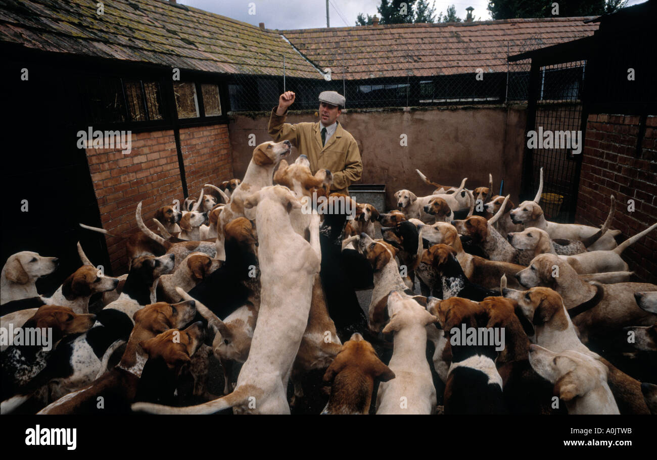 Hound master of the Quantock stag hunt Exmoor somerset UK Devon