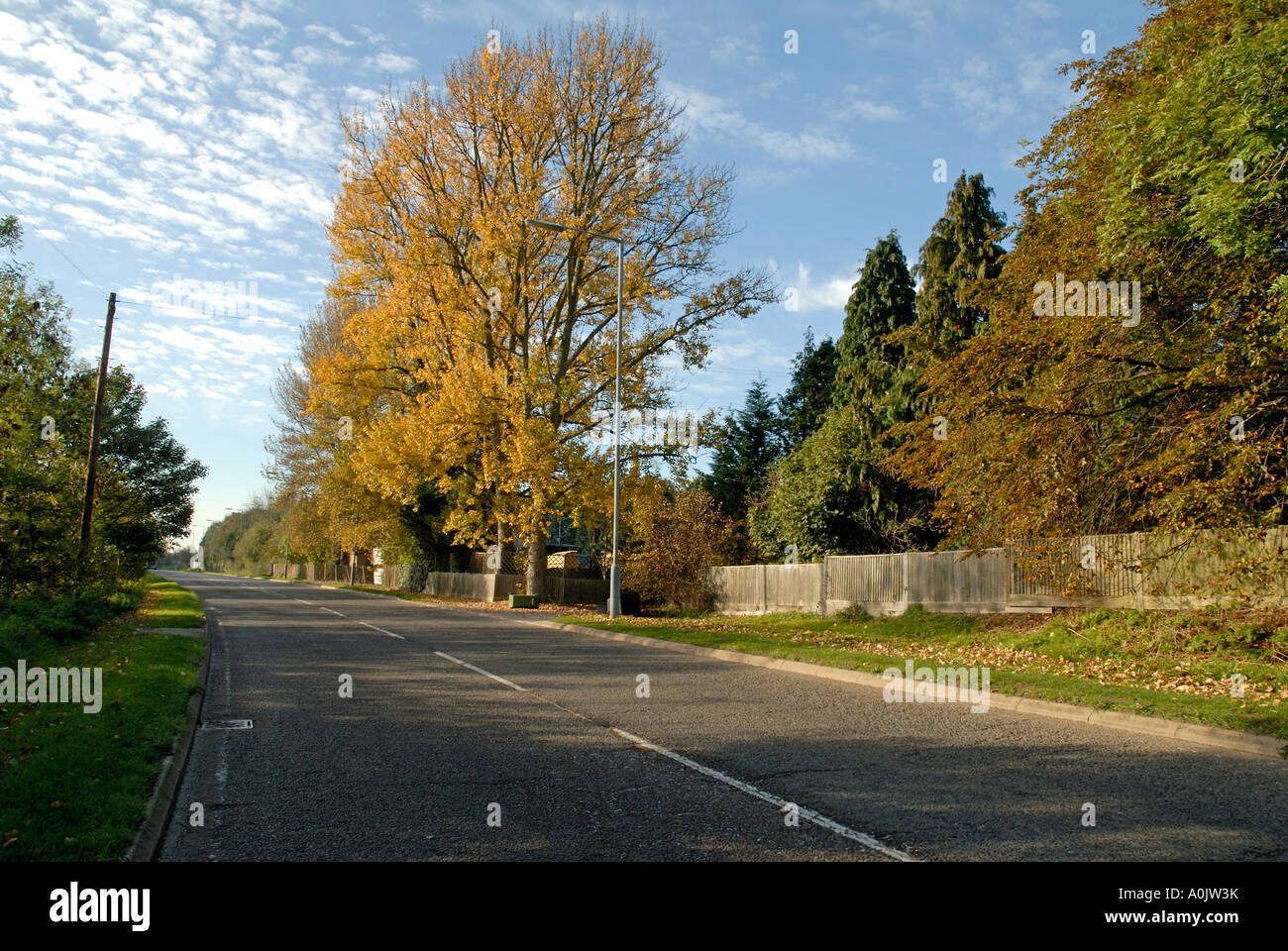 Brackley Wood Mills in Northampton Road, Brackley, Northamptonshire, UK, prior to the proposed