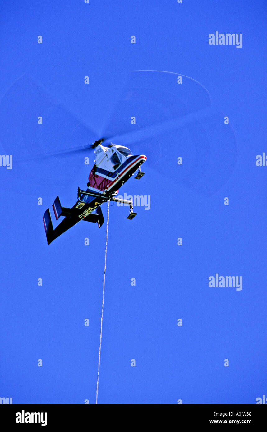 Helicopter lifting trees Stock Photo