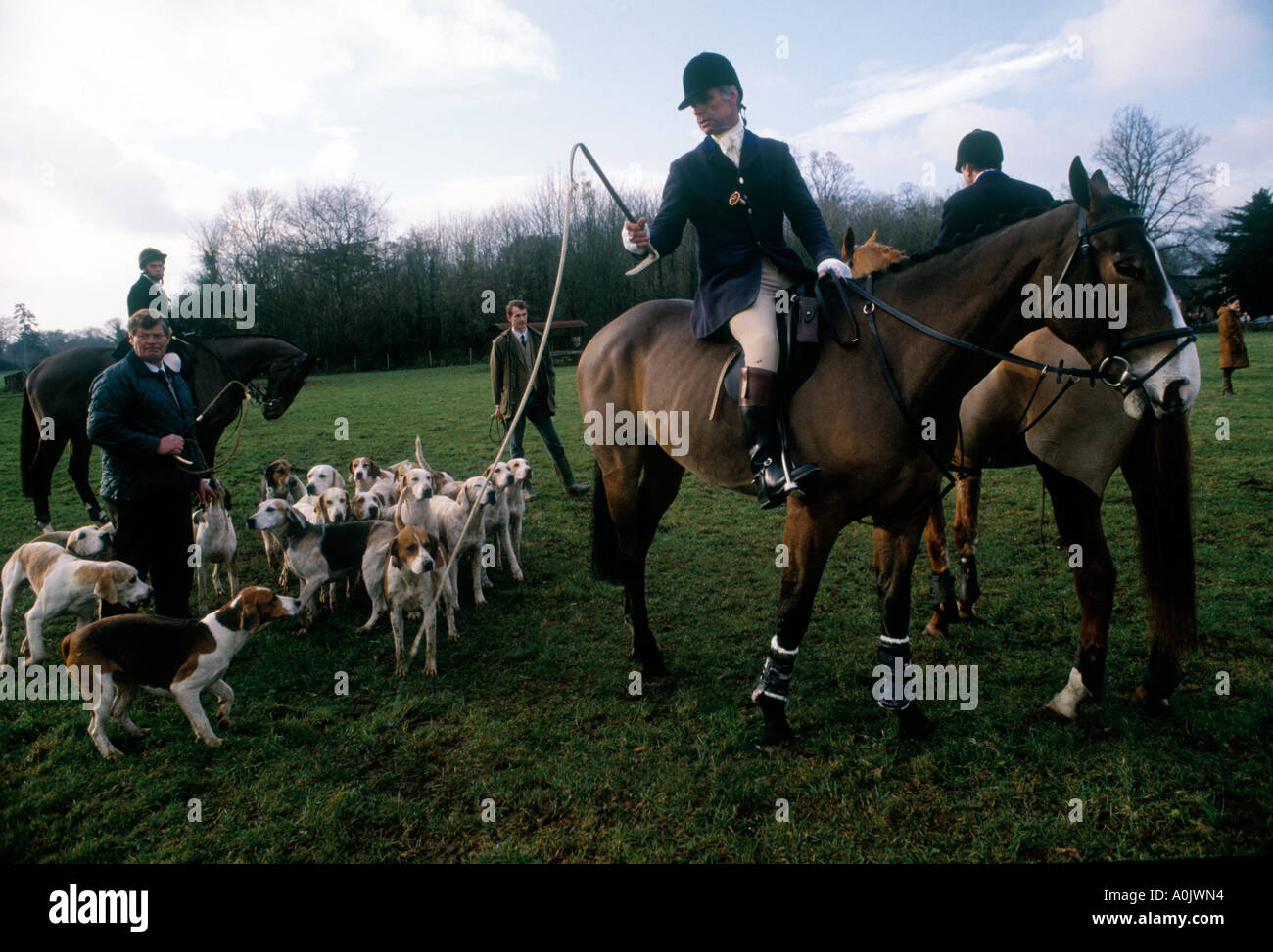 Drag hunting Wiltshire UK where a scent is laid beforehand and there is
