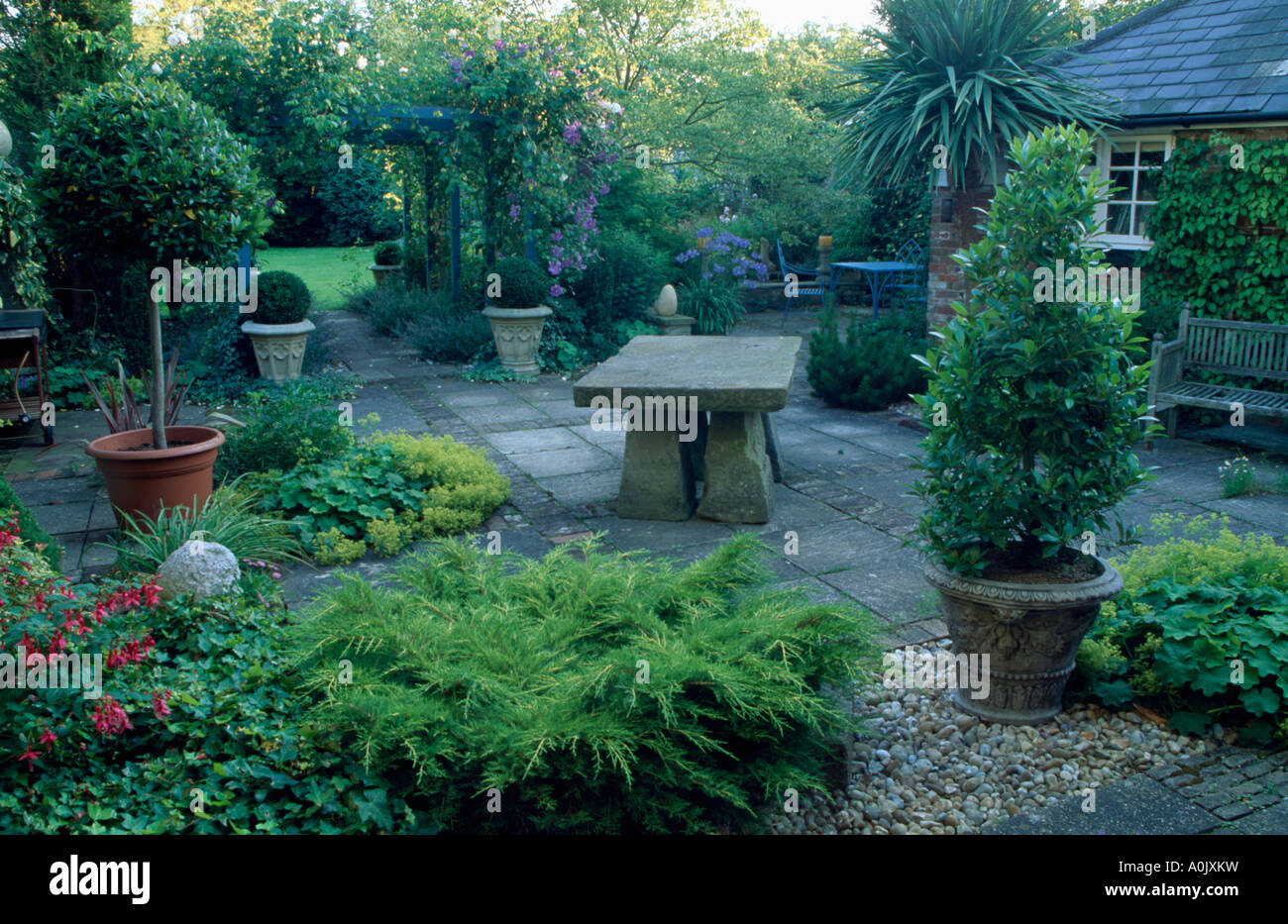 Clipped Trees In Pots On Patio In Front Of House View To Garden