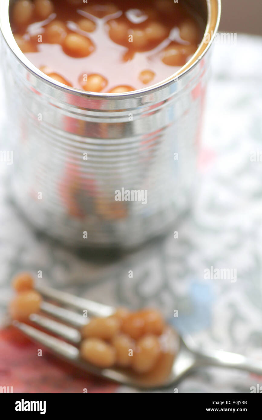 tin of baked beans Stock Photo Alamy