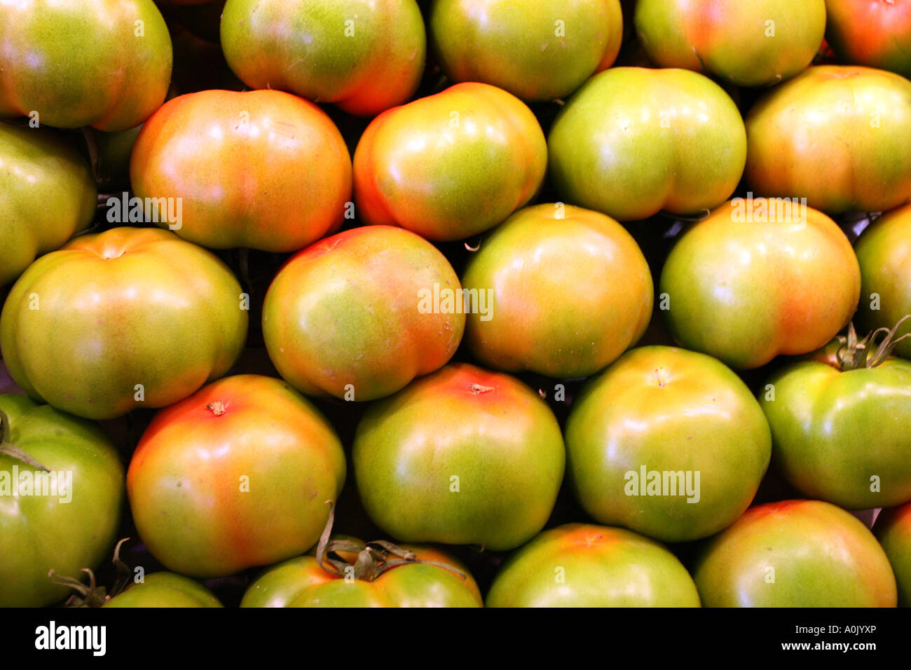 Tomatoes for sale on a market stall Stock Photo - Alamy