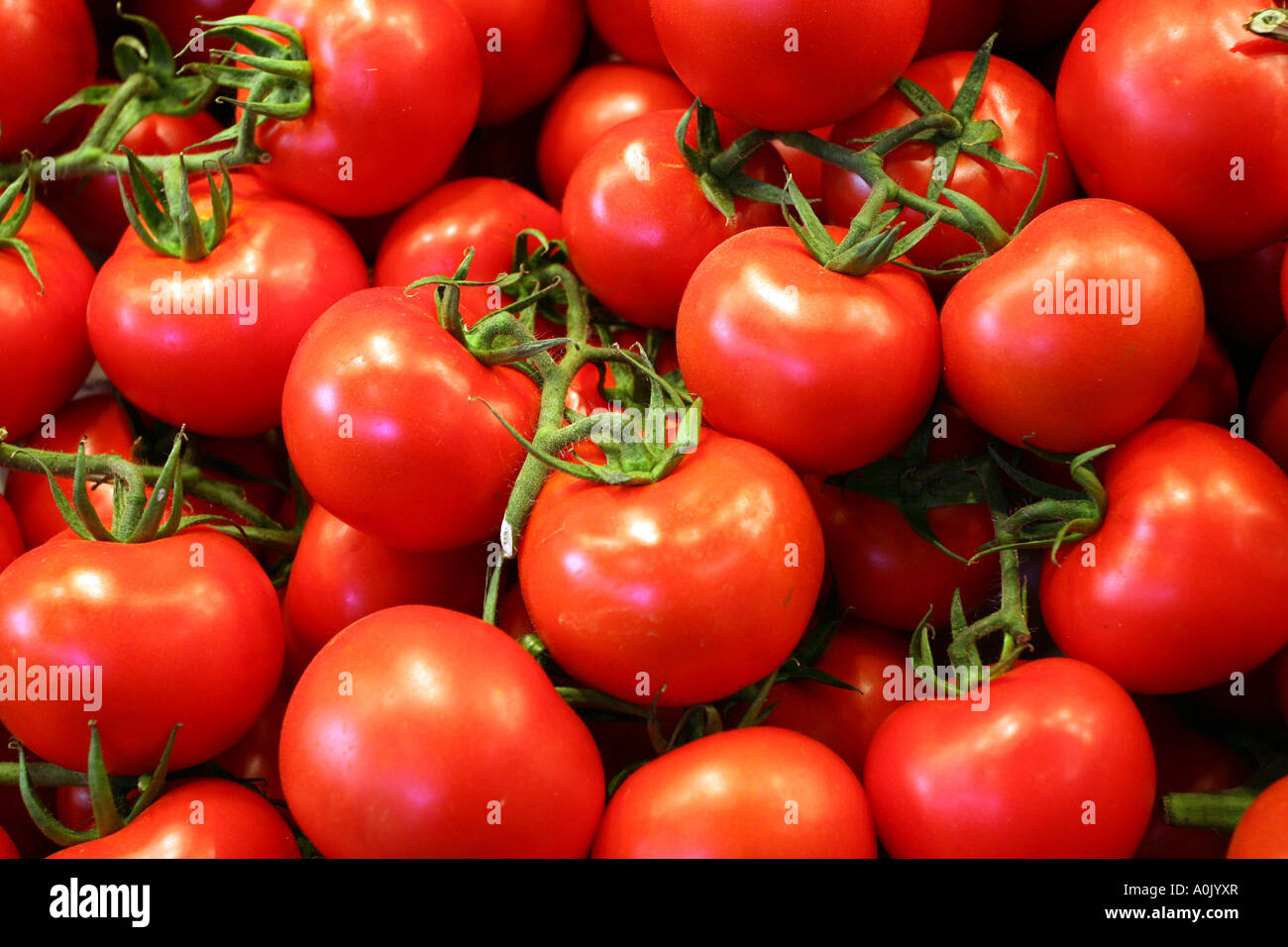 Tomatoes for sale on a market stall Stock Photo - Alamy