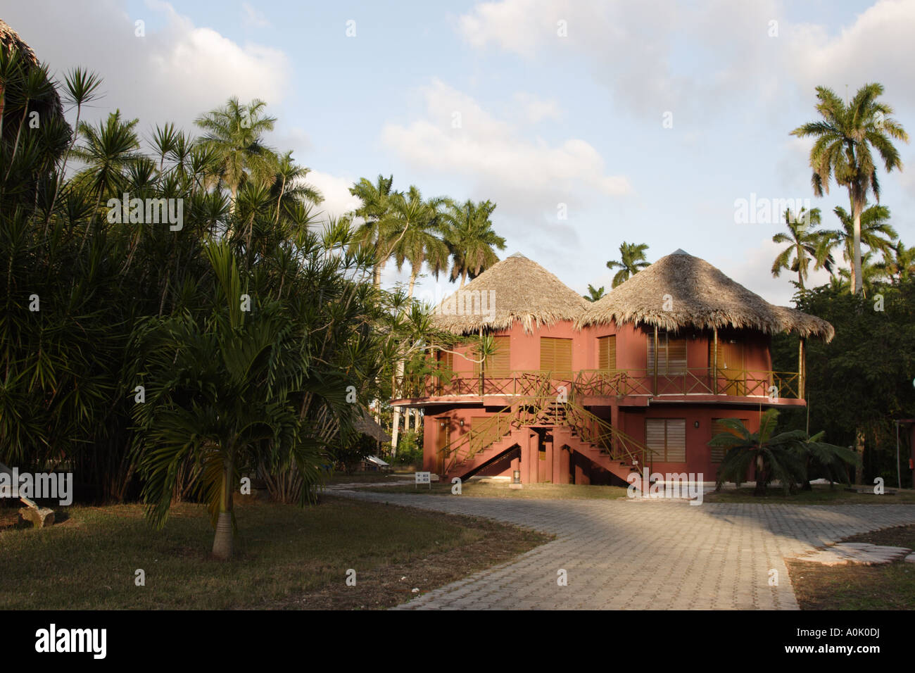 Guest Rooms at La Granjita Santa Clara Cuba are in two storey thatched cabins Stock Photo