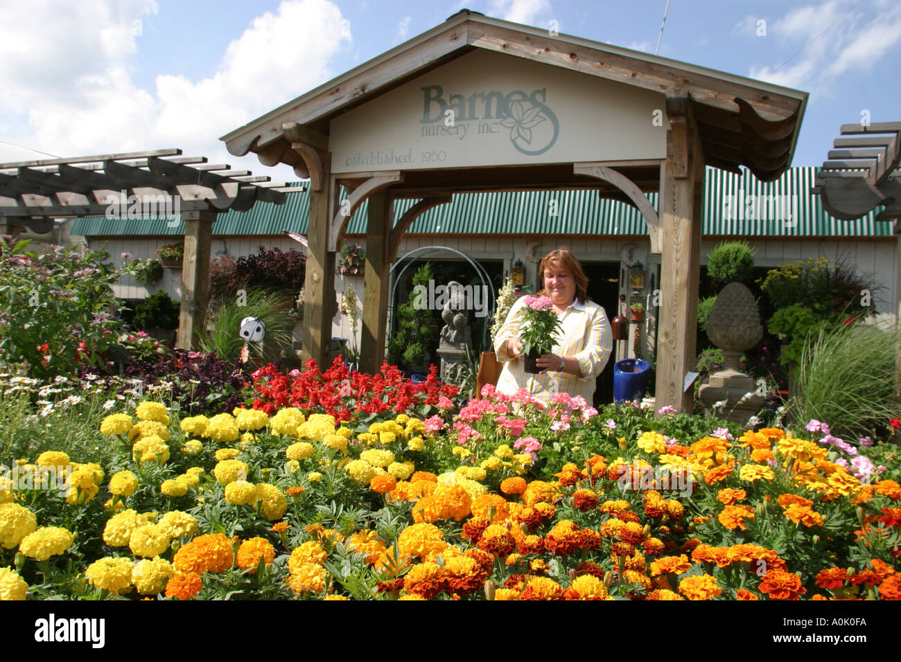 Spender plants hires stock photography and images Alamy