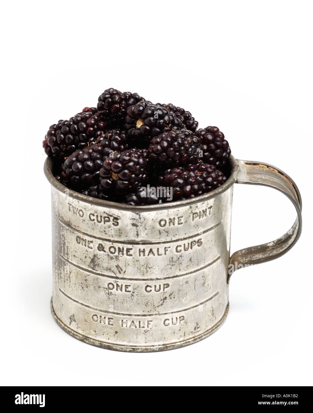 Blackberries in tin measuring cup Stock Photo Alamy