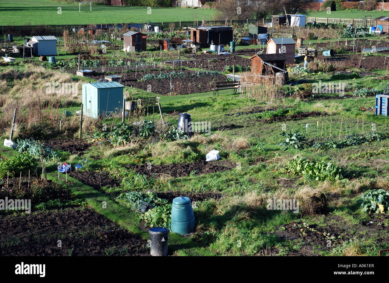 Allotment gardens in winter, Warwick, Warwickshire, England, UK Stock Photo