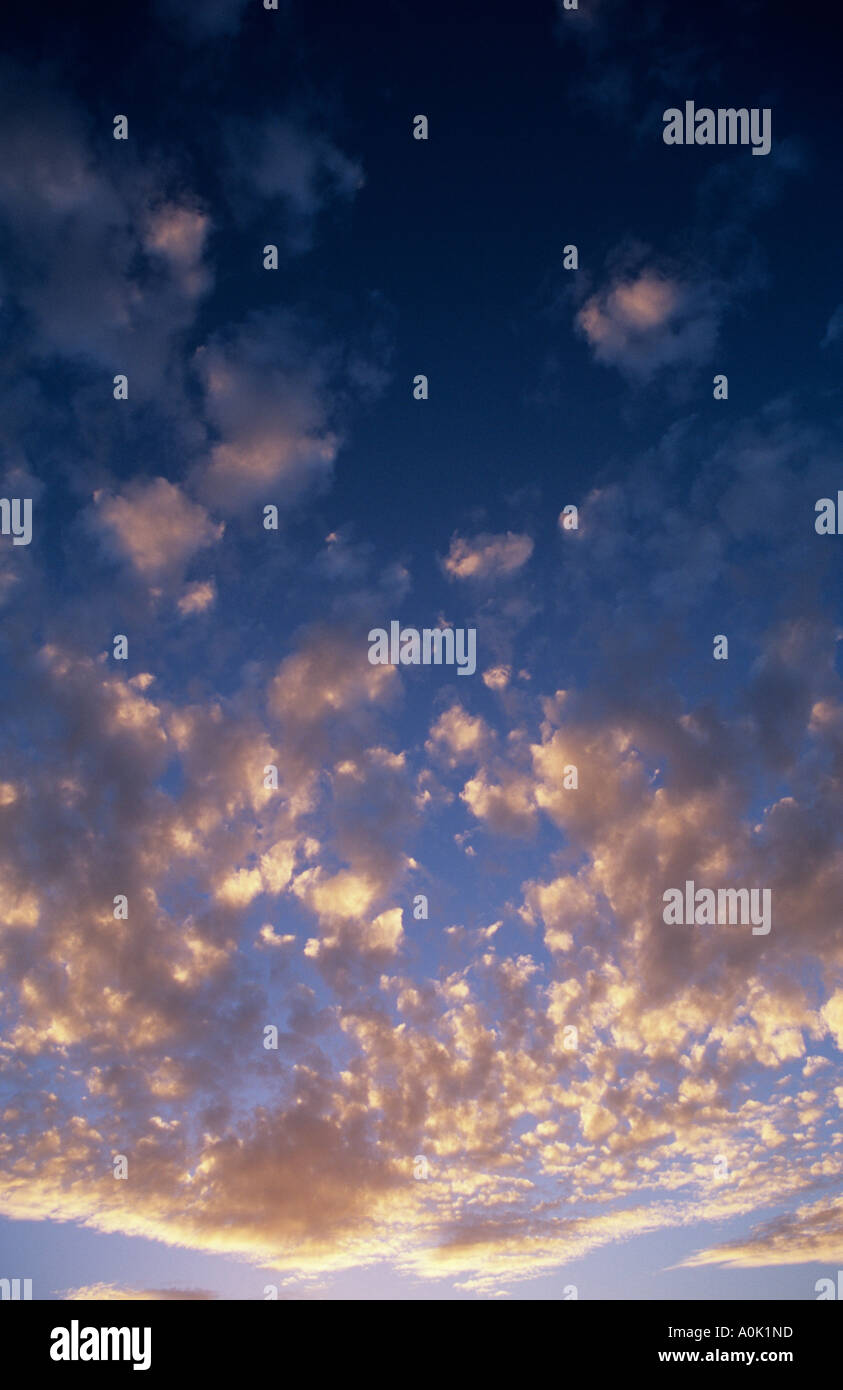 Gold tinged hires stock photography and images Alamy