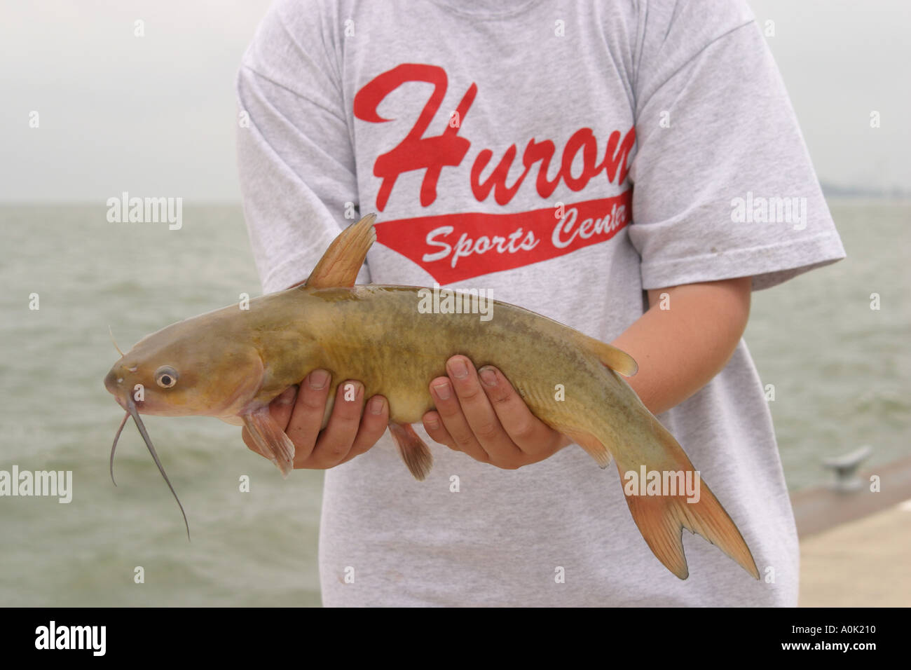 ohiosandusky