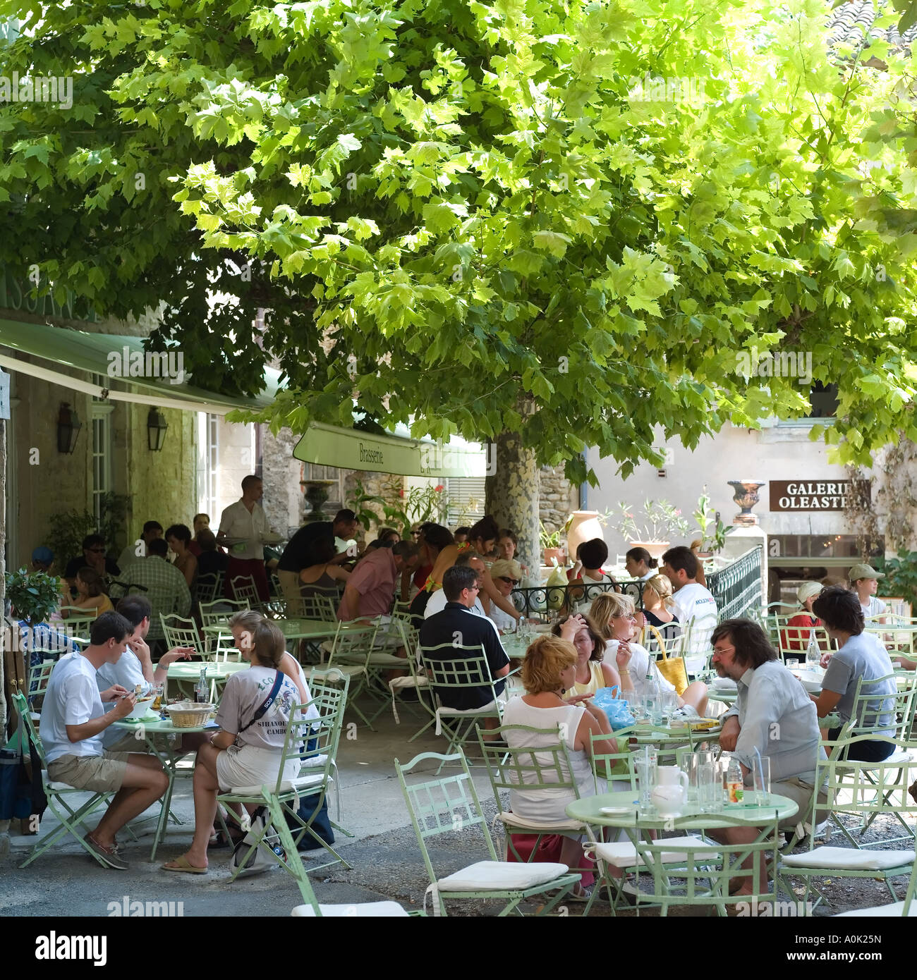 Restaurant terrace in the shade of trees, Gordes, Lubéron, Vaucluse, Provence, France Stock Photo