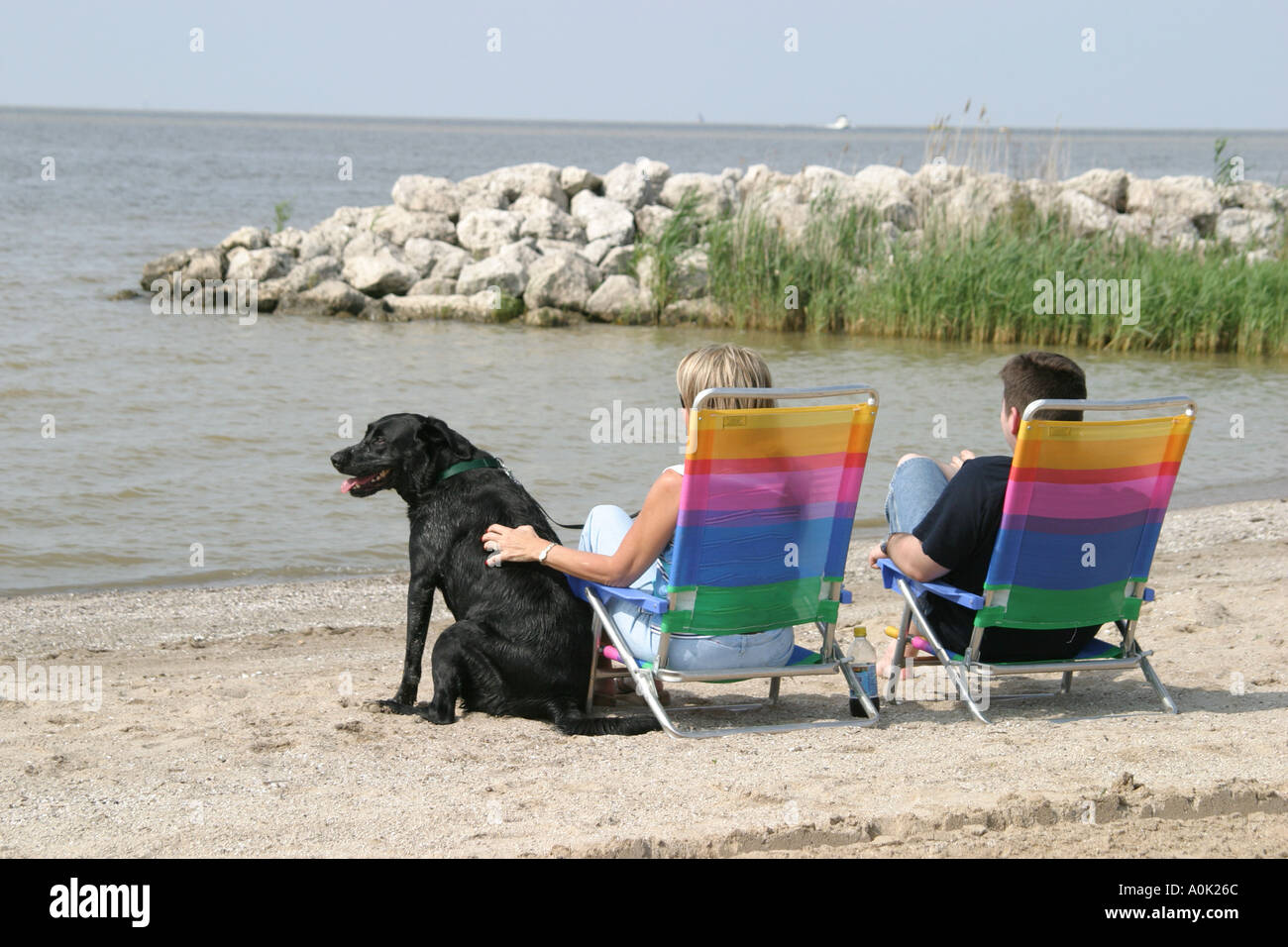 Ohio Maumee Bay State Park,public land,recreation,Lake Erie,Erie Beach,couple,man men male,woman female women,dog,pet,canine,animal,pet folding chairs Stock Photo