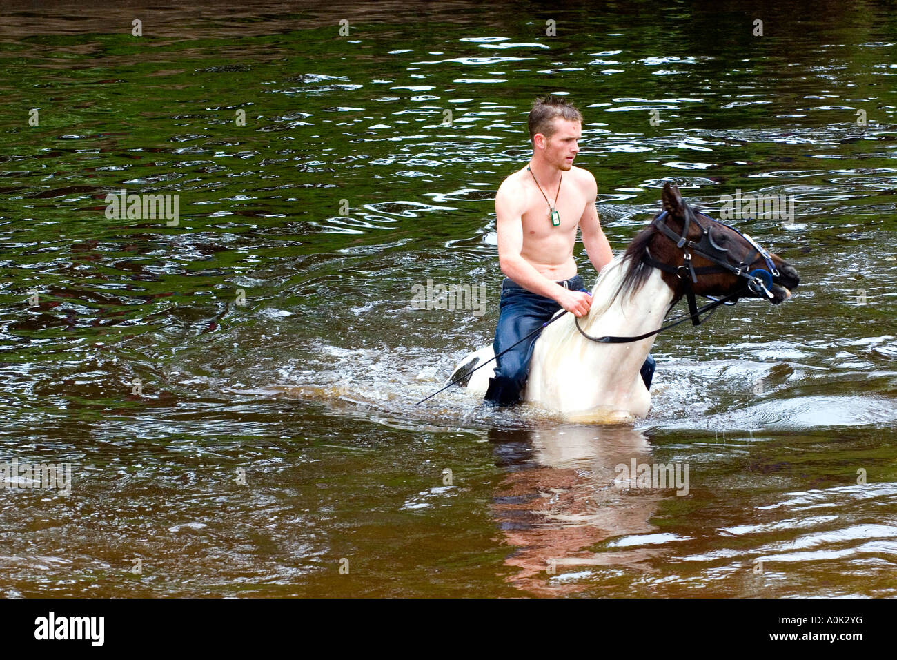 A man rides a horse through a river Stock Photo - Alamy