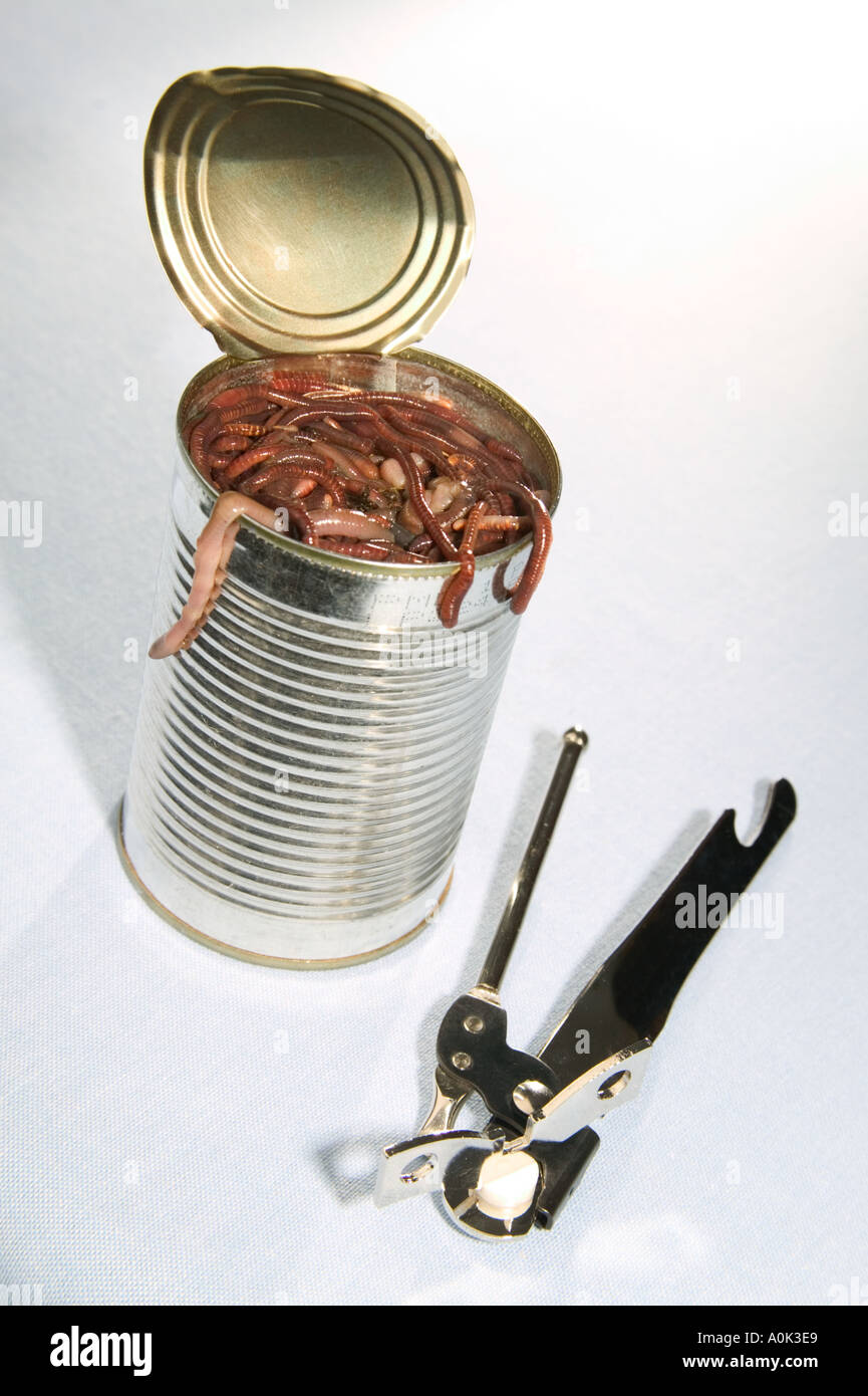 Opening a can of worms Stock Photo