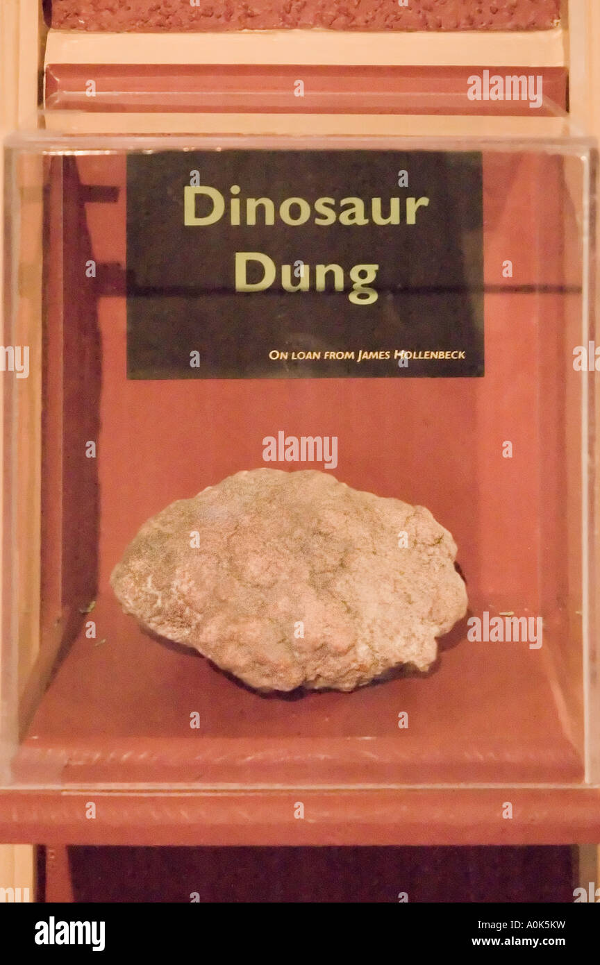 P31 190 Dinosaur Dung at Dinosaur Museum Port Huron Michigan Stock