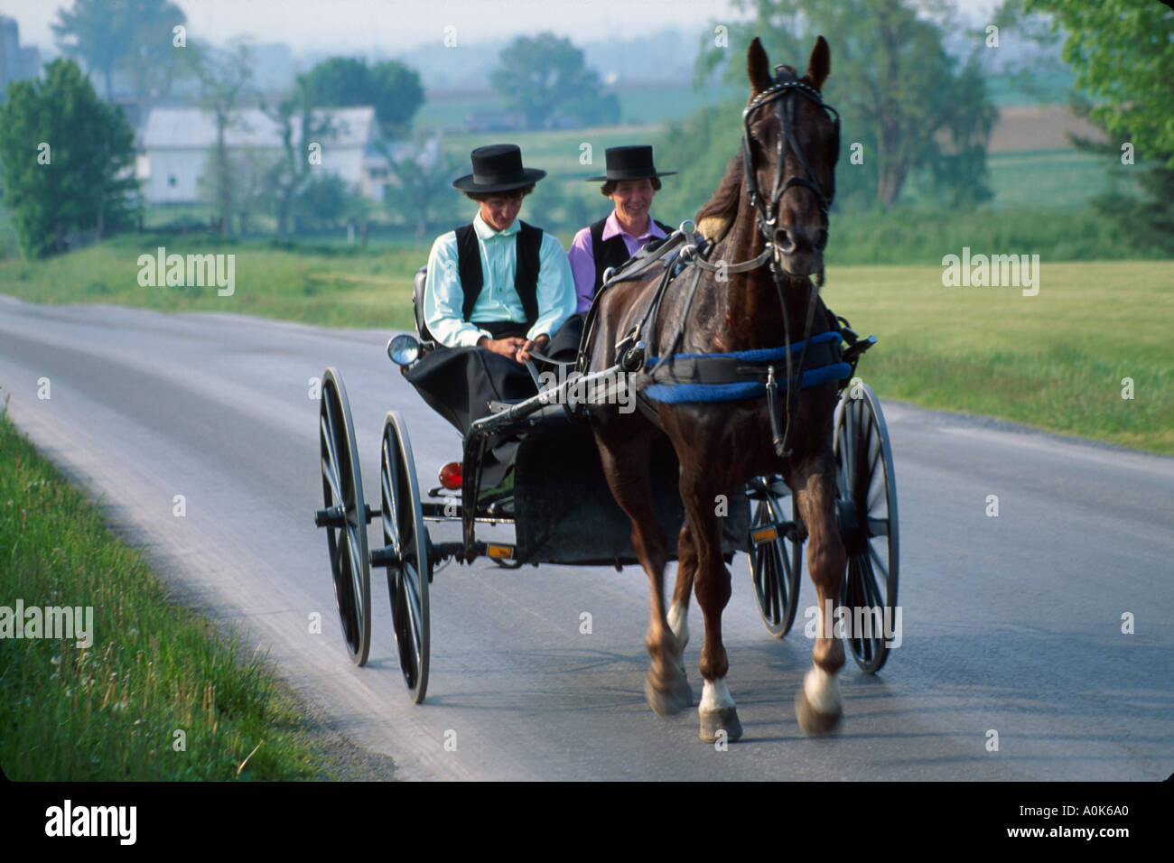 Pennsylvania Strasburg Amish Dutch Mennonite,teen teens teenager teenagers youths,ride riding horse-drawn buggy wagon,transportation country rural roa Stock Photo