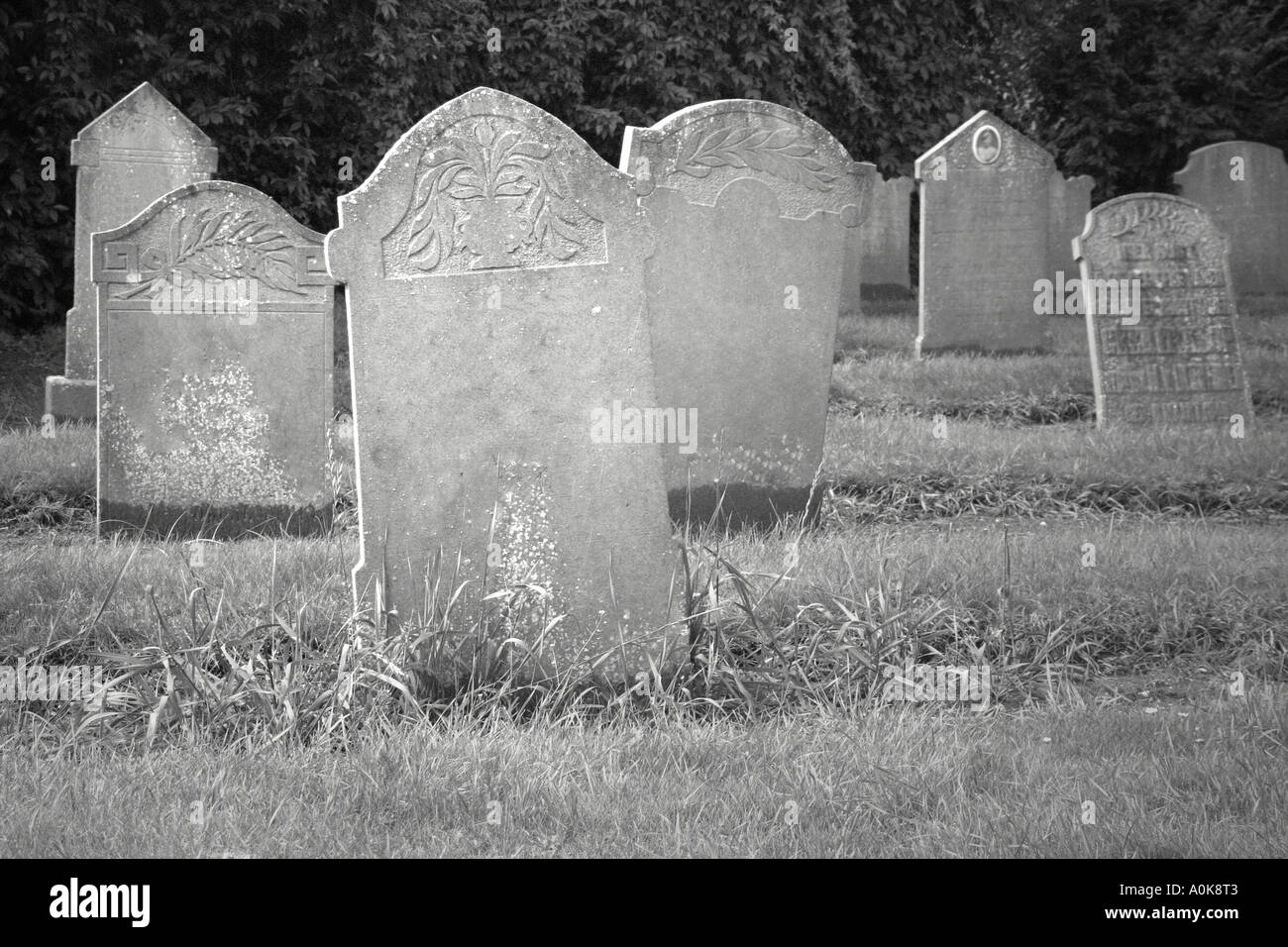 Do not stand at my grave and weep stock photo alamy